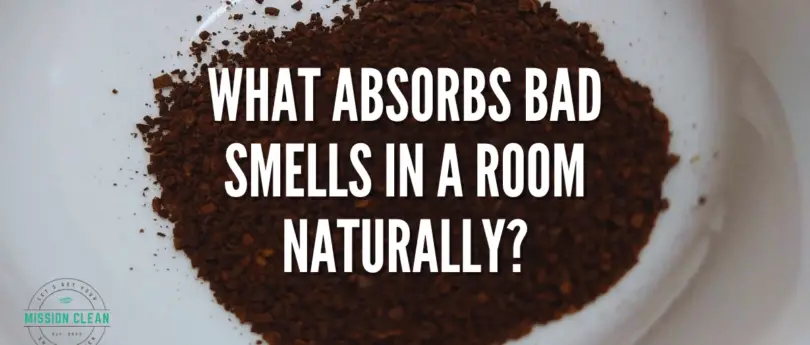 what-absorbs-bad-smells-in-a-room-naturally-mission-clean