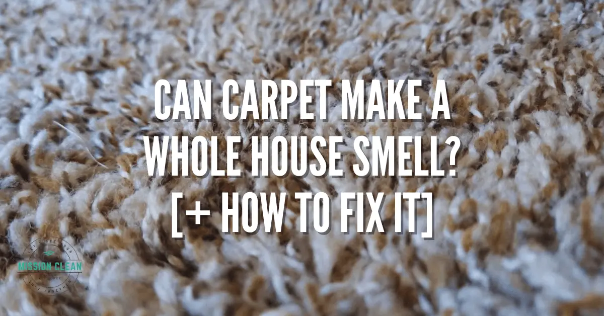 Can Carpet Make Your House Smell? [+ How To Fix It]